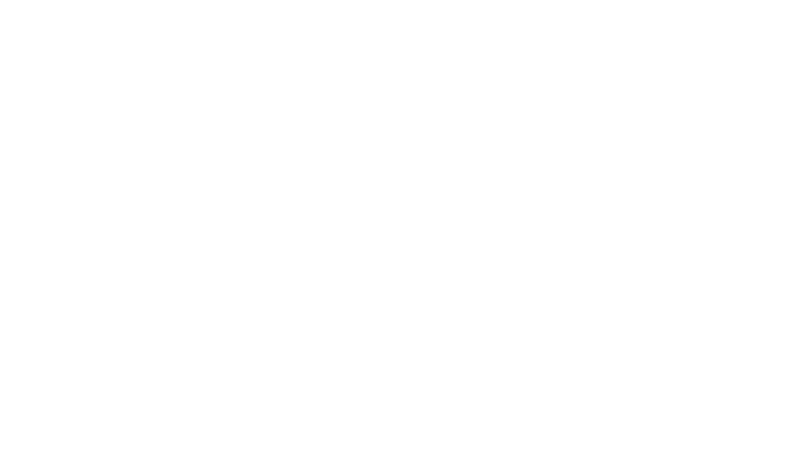 shape_not_found